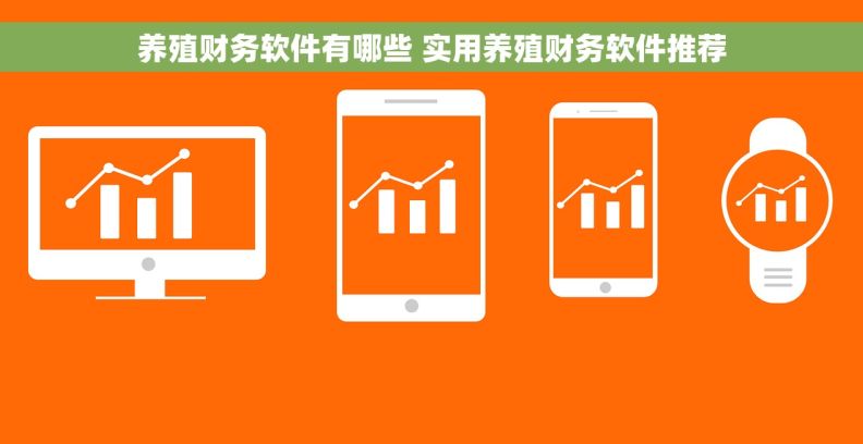 养殖财务软件有哪些 实用养殖财务软件推荐