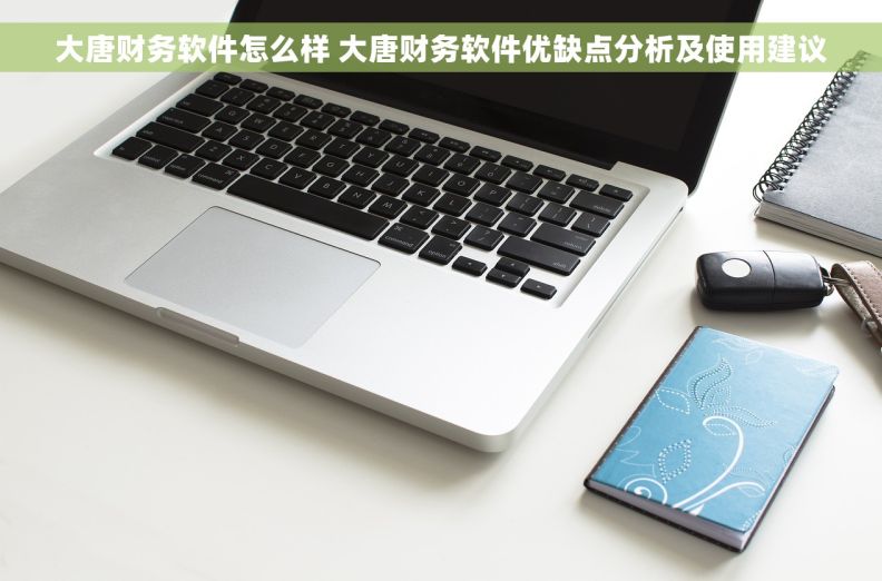 大唐财务软件怎么样 大唐财务软件优缺点分析及使用建议