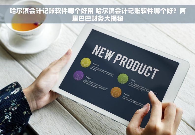 哈尔滨会计记账软件哪个好用 哈尔滨会计记账软件哪个好？阿里巴巴财务大揭秘
