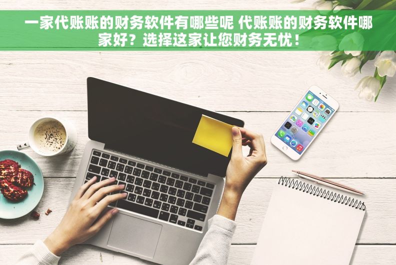 一家代账账的财务软件有哪些呢 代账账的财务软件哪家好？选择这家让您财务无忧！
