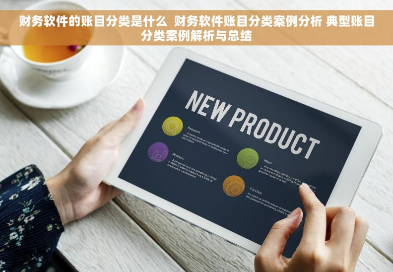 财务软件的账目分类是什么  财务软件账目分类案例分析 典型账目分类案例解析与总结