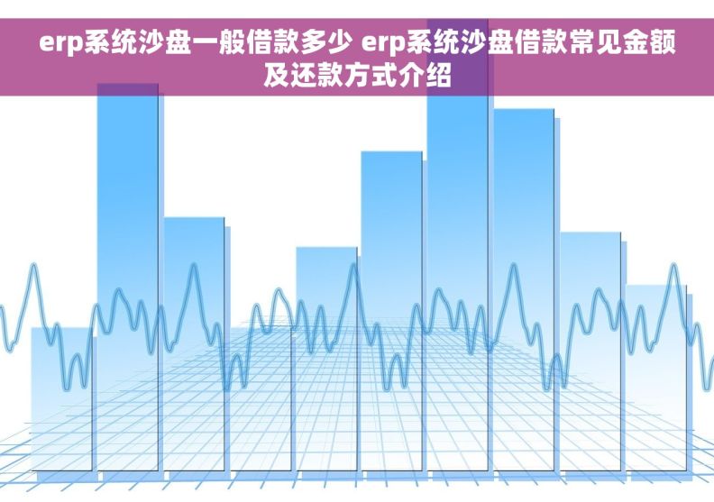 erp系统沙盘一般借款多少 erp系统沙盘借款常见金额及还款方式介绍