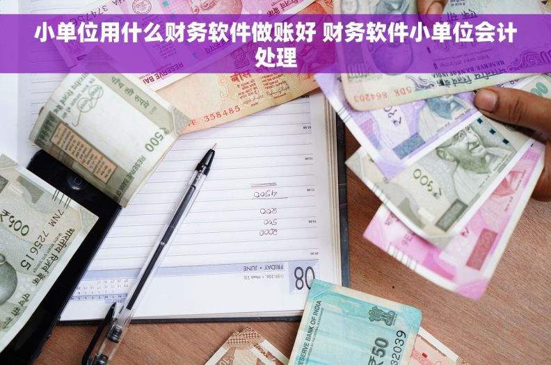 小单位用什么财务软件做账好 财务软件小单位会计处理