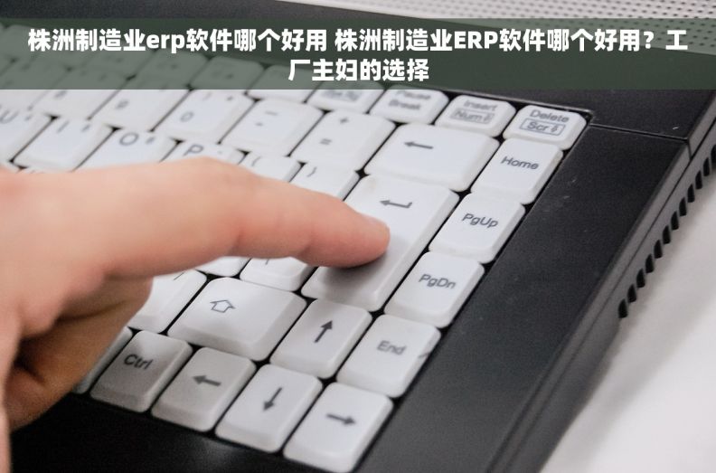 株洲制造业erp软件哪个好用 株洲制造业ERP软件哪个好用？工厂主妇的选择