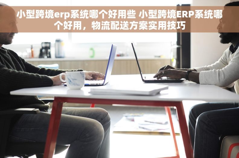 小型跨境erp系统哪个好用些 小型跨境ERP系统哪个好用，物流配送方案实用技巧