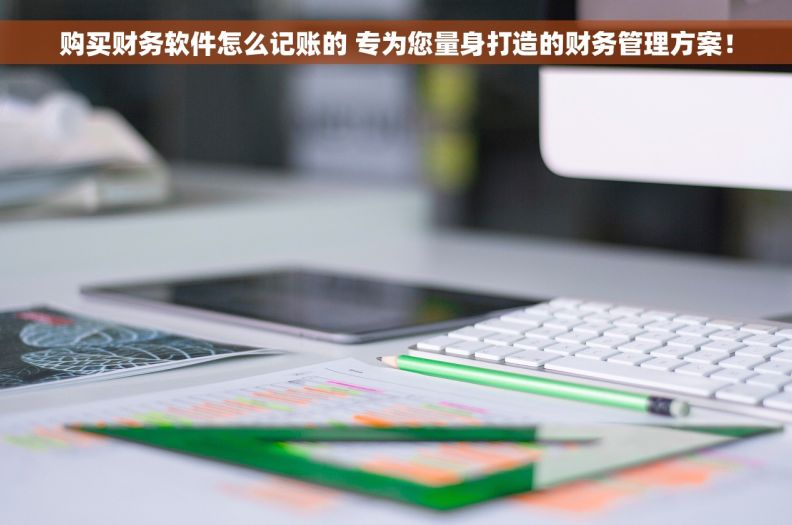 购买财务软件怎么记账的 专为您量身打造的财务管理方案！