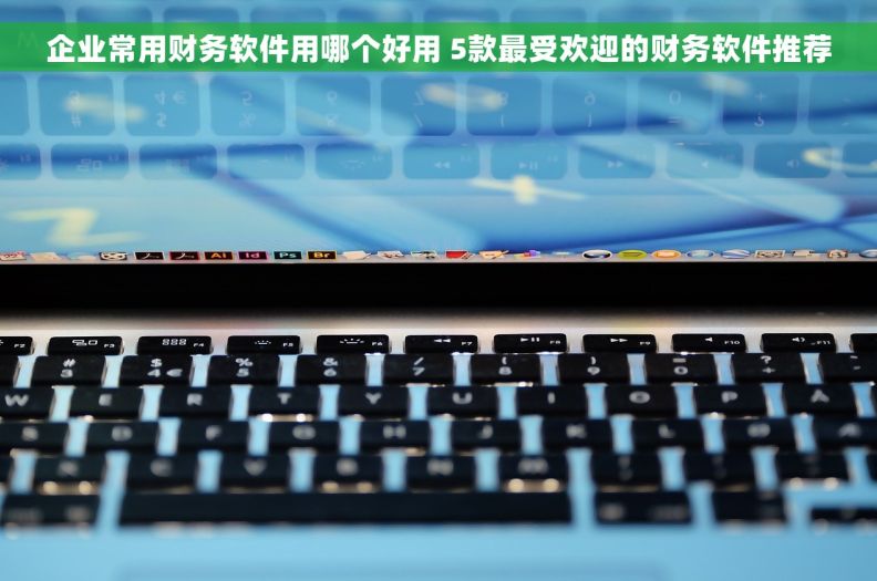 企业常用财务软件用哪个好用 5款最受欢迎的财务软件推荐