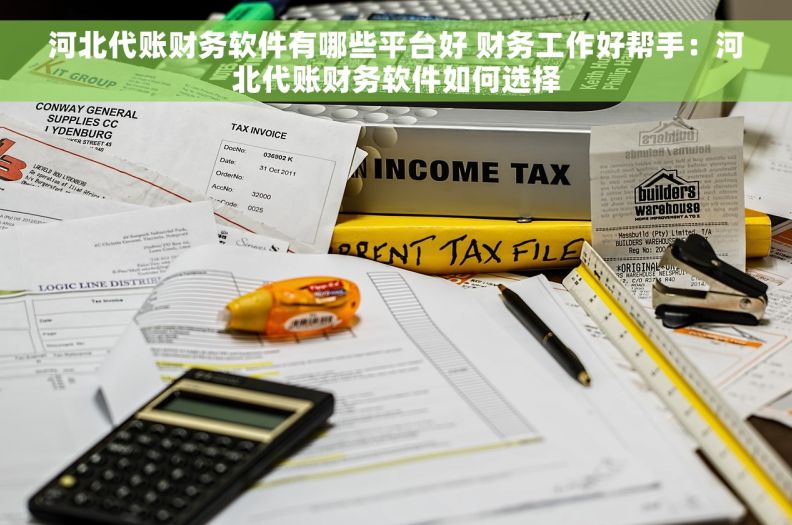 河北代账财务软件有哪些平台好 财务工作好帮手：河北代账财务软件如何选择