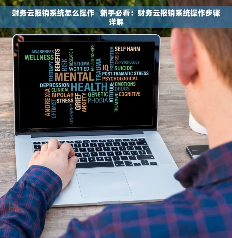 财务云报销系统怎么操作   新手必看：财务云报销系统操作步骤详解