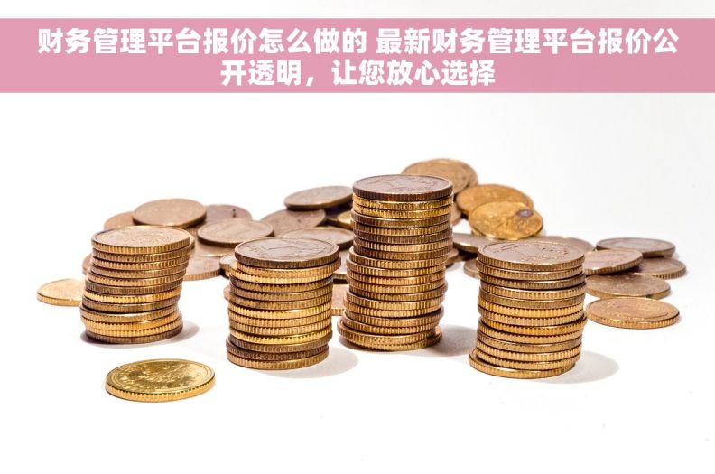 财务管理平台报价怎么做的 最新财务管理平台报价公开透明，让您放心选择