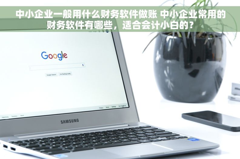 中小企业一般用什么财务软件做账 中小企业常用的财务软件有哪些，适合会计小白的？