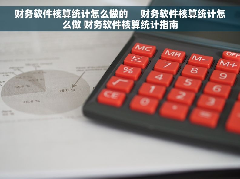 财务软件核算统计怎么做的     财务软件核算统计怎么做 财务软件核算统计指南