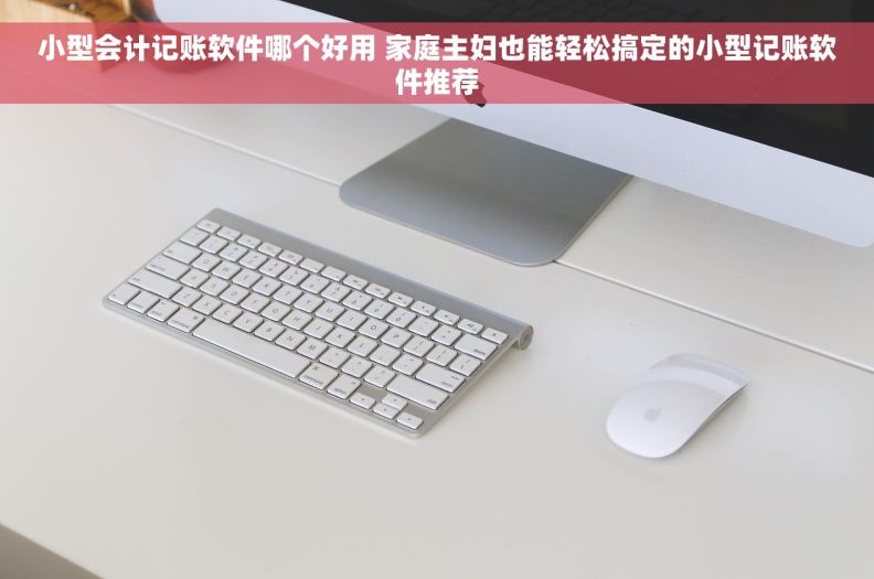 小型会计记账软件哪个好用 家庭主妇也能轻松搞定的小型记账软件推荐