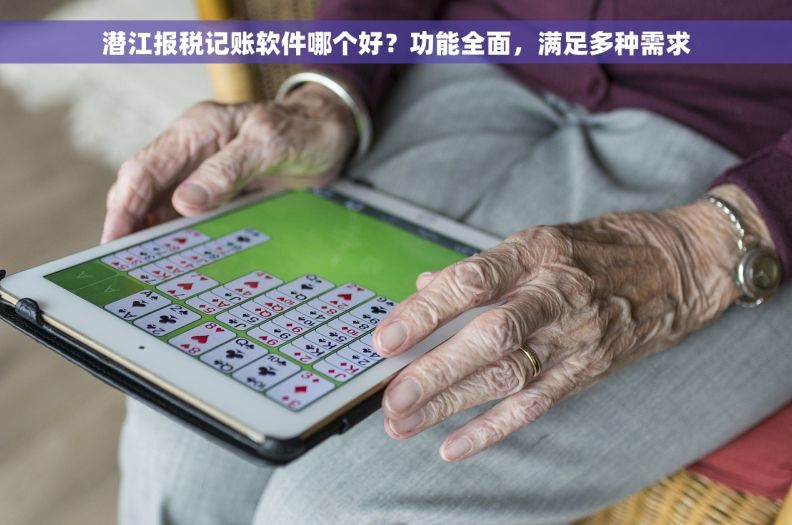 潜江报税记账软件哪个好？功能全面，满足多种需求