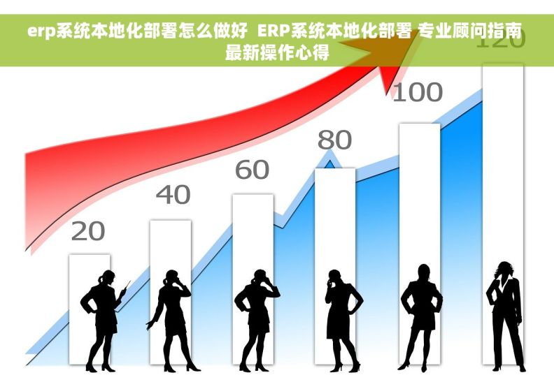 erp系统本地化部署怎么做好  ERP系统本地化部署 专业顾问指南 最新操作心得