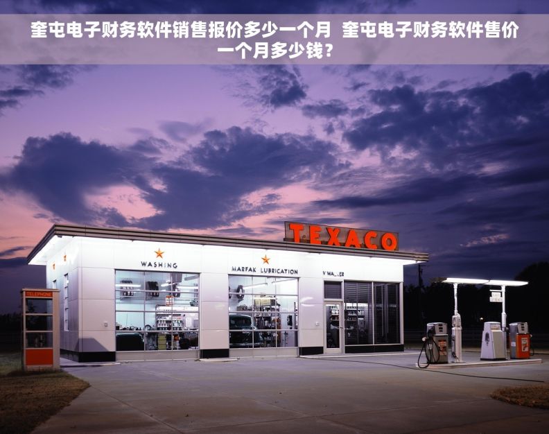 奎屯电子财务软件销售报价多少一个月  奎屯电子财务软件售价一个月多少钱？