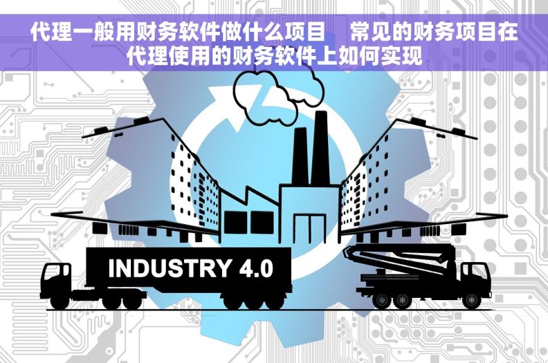 代理一般用财务软件做什么项目    常见的财务项目在代理使用的财务软件上如何实现