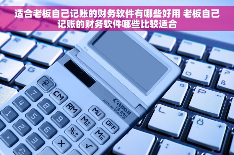 适合老板自己记账的财务软件有哪些好用 老板自己记账的财务软件哪些比较适合