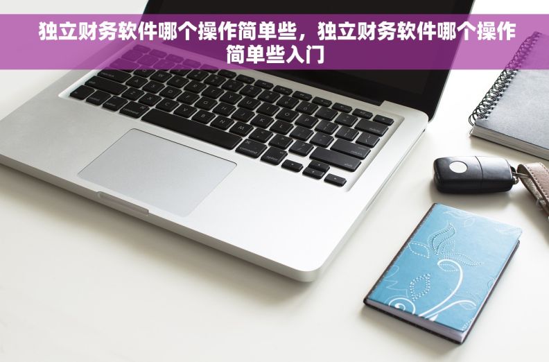  独立财务软件哪个操作简单些，独立财务软件哪个操作简单些入门