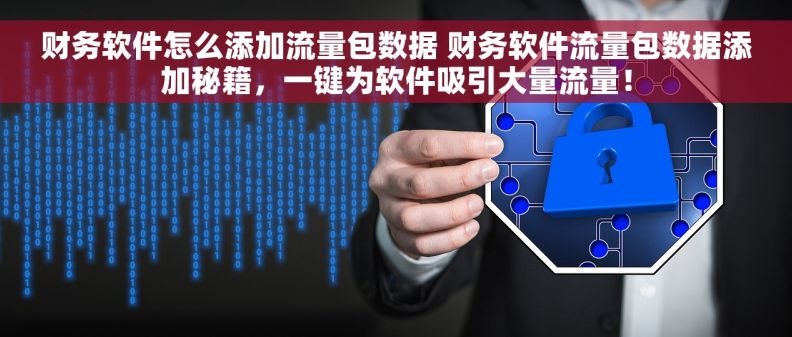 财务软件怎么添加流量包数据 财务软件流量包数据添加秘籍，一键为软件吸引大量流量！