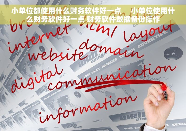 小单位都使用什么财务软件好一点     小单位使用什么财务软件好一点 财务软件数据备份操作