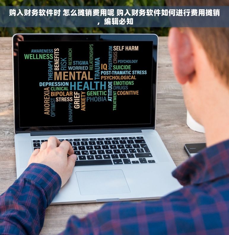 购入财务软件时 怎么摊销费用呢 购入财务软件如何进行费用摊销，编辑必知