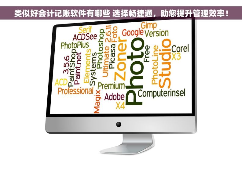 类似好会计记账软件有哪些 选择畅捷通，助您提升管理效率！