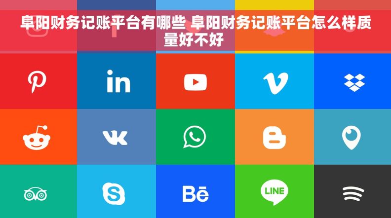 阜阳财务记账平台有哪些 阜阳财务记账平台怎么样质量好不好 