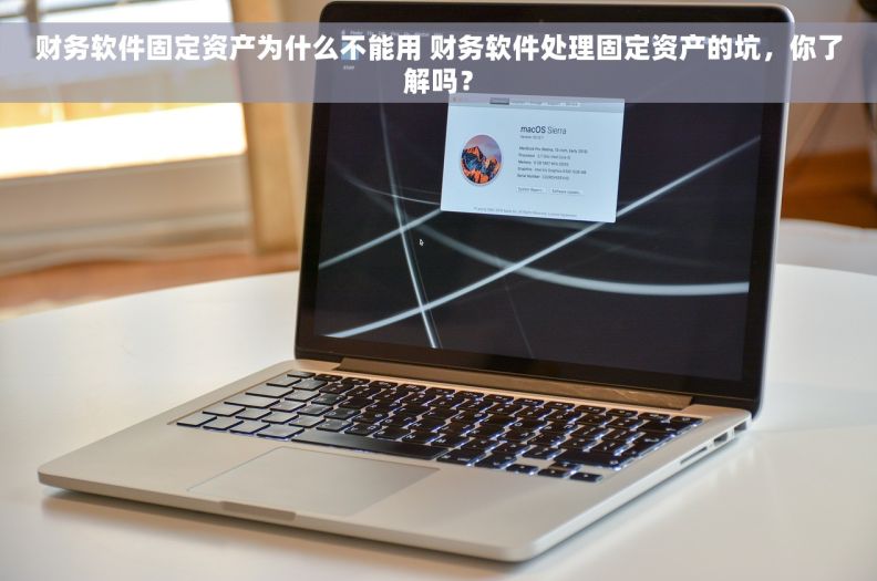 财务软件固定资产为什么不能用 财务软件处理固定资产的坑，你了解吗？