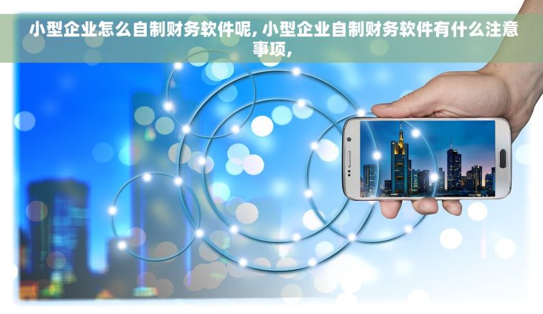  小型企业怎么自制财务软件呢, 小型企业自制财务软件有什么注意事项,