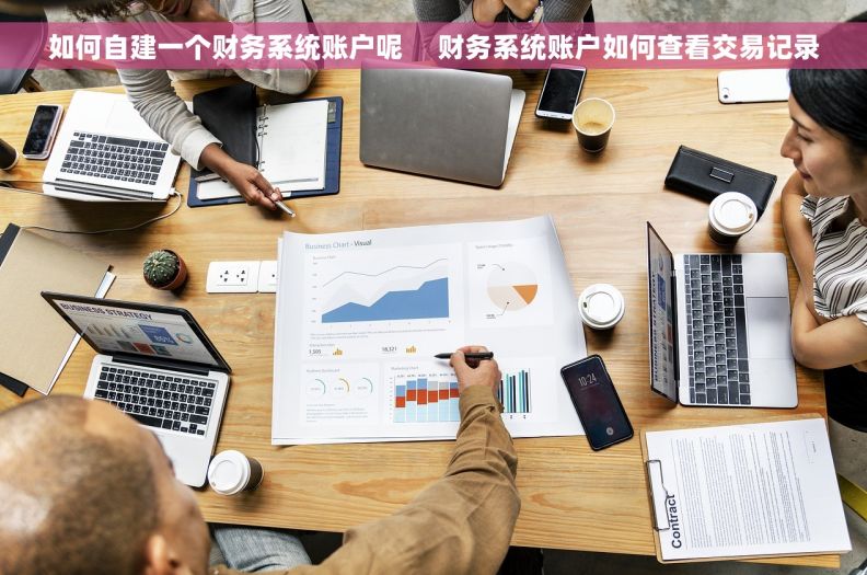 如何自建一个财务系统账户呢     财务系统账户如何查看交易记录