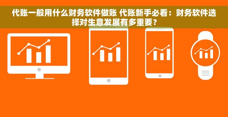 代账一般用什么财务软件做账 代账新手必看：财务软件选择对生意发展有多重要？