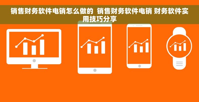 销售财务软件电销怎么做的  销售财务软件电销 财务软件实用技巧分享