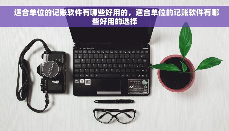   适合单位的记账软件有哪些好用的，适合单位的记账软件有哪些好用的选择