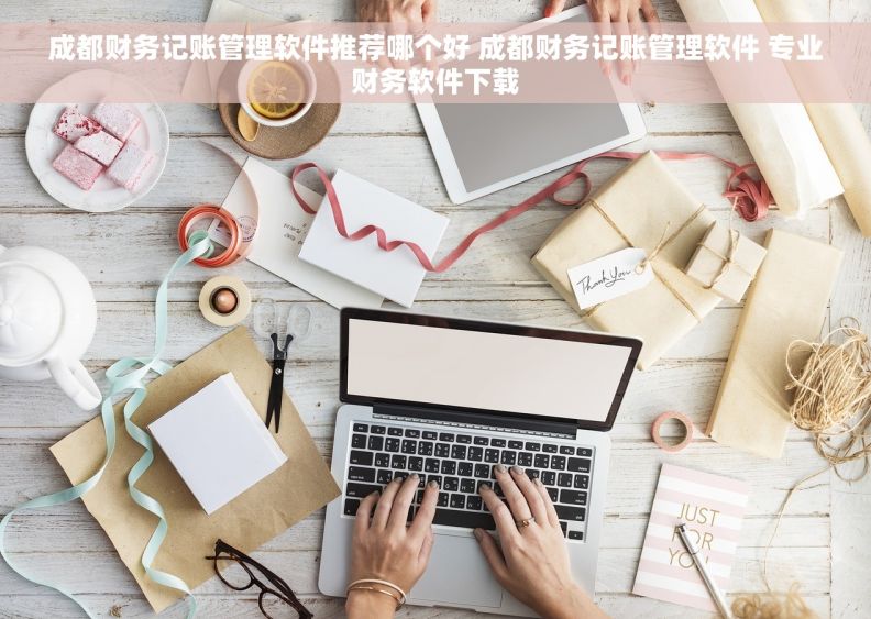 成都财务记账管理软件推荐哪个好 成都财务记账管理软件 专业财务软件下载