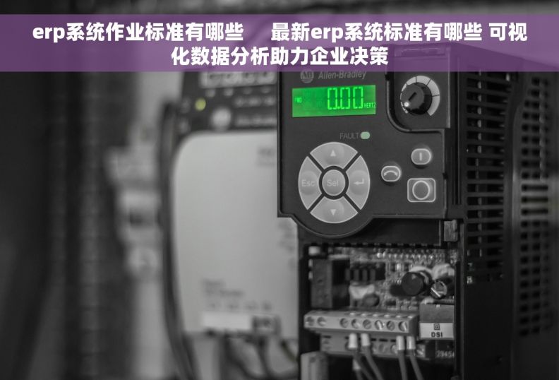 erp系统作业标准有哪些     最新erp系统标准有哪些 可视化数据分析助力企业决策