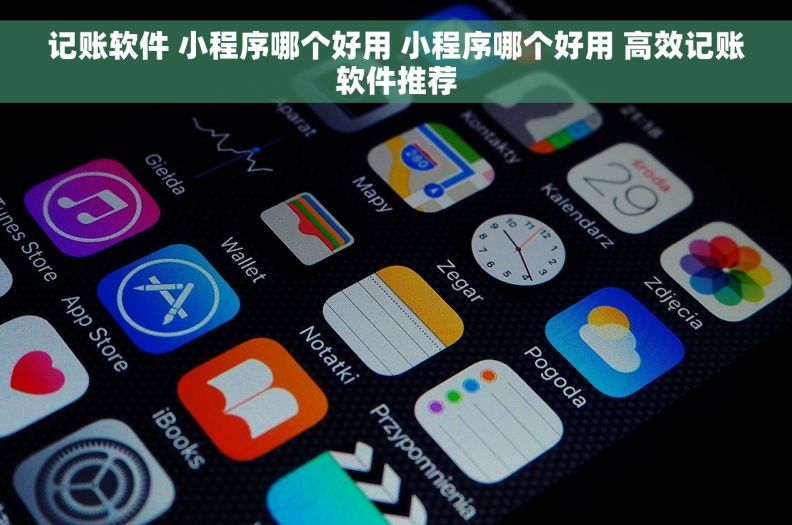 记账软件 小程序哪个好用 小程序哪个好用 高效记账软件推荐