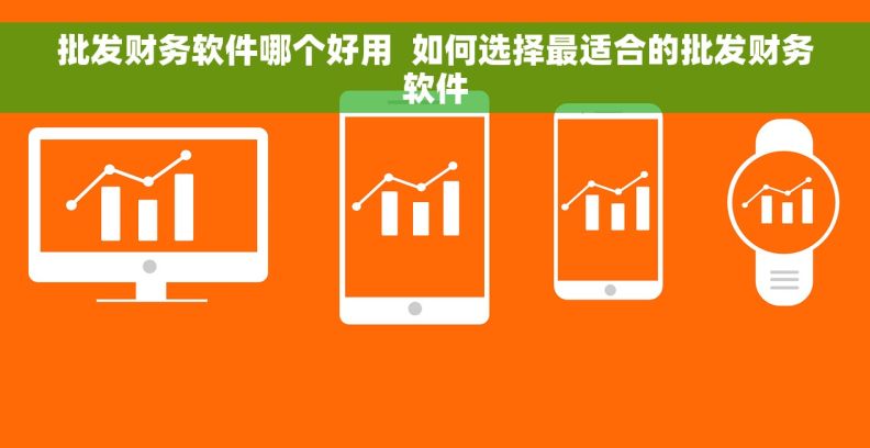 批发财务软件哪个好用  如何选择最适合的批发财务软件