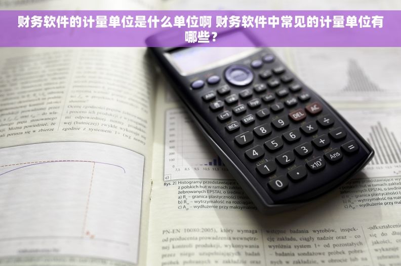 财务软件的计量单位是什么单位啊 财务软件中常见的计量单位有哪些？