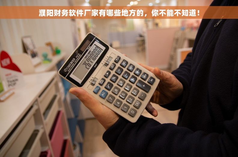 濮阳财务软件厂家有哪些地方的，你不能不知道！