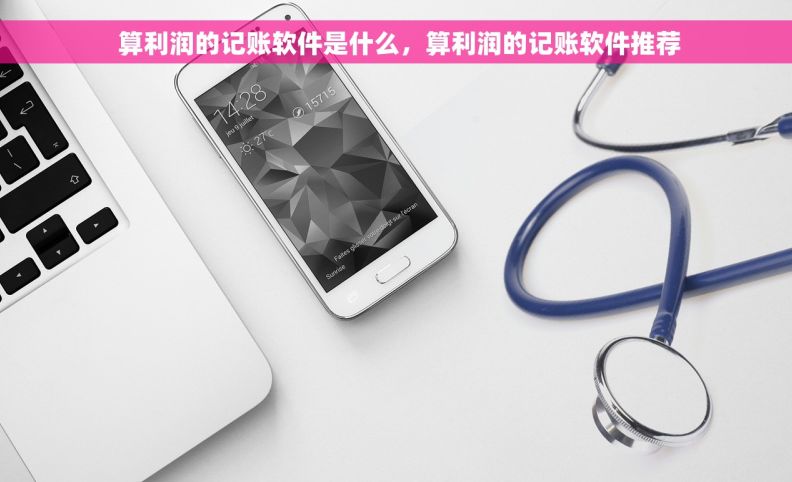  算利润的记账软件是什么，算利润的记账软件推荐