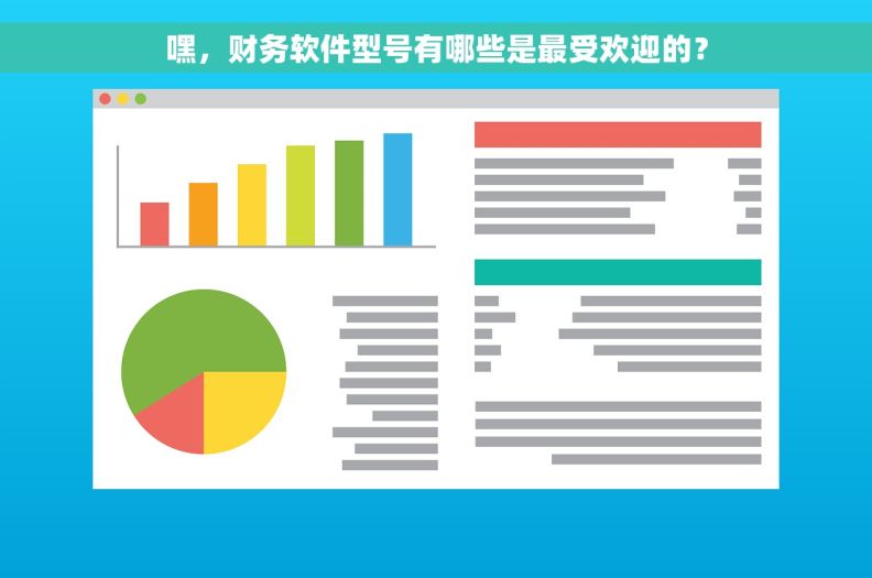 嘿，财务软件型号有哪些是最受欢迎的？