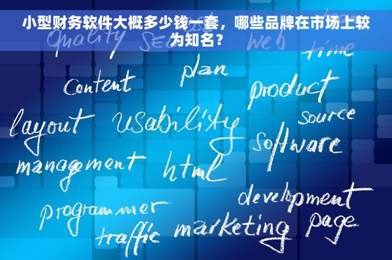 小型财务软件大概多少钱一套，哪些品牌在市场上较为知名？