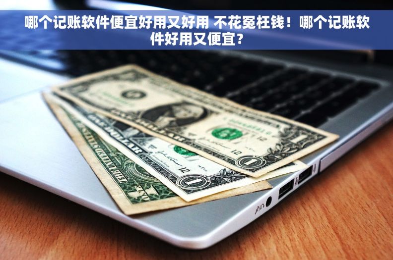 哪个记账软件便宜好用又好用 不花冤枉钱！哪个记账软件好用又便宜？