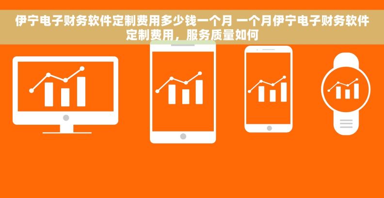 伊宁电子财务软件定制费用多少钱一个月 一个月伊宁电子财务软件定制费用，服务质量如何