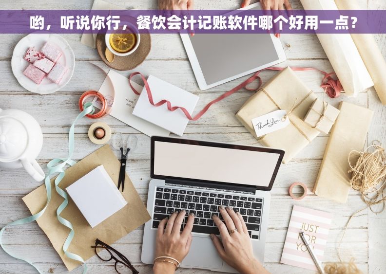 哟，听说你行，餐饮会计记账软件哪个好用一点？
