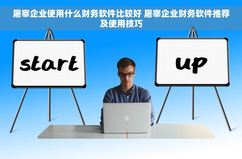 屠宰企业使用什么财务软件比较好 屠宰企业财务软件推荐及使用技巧