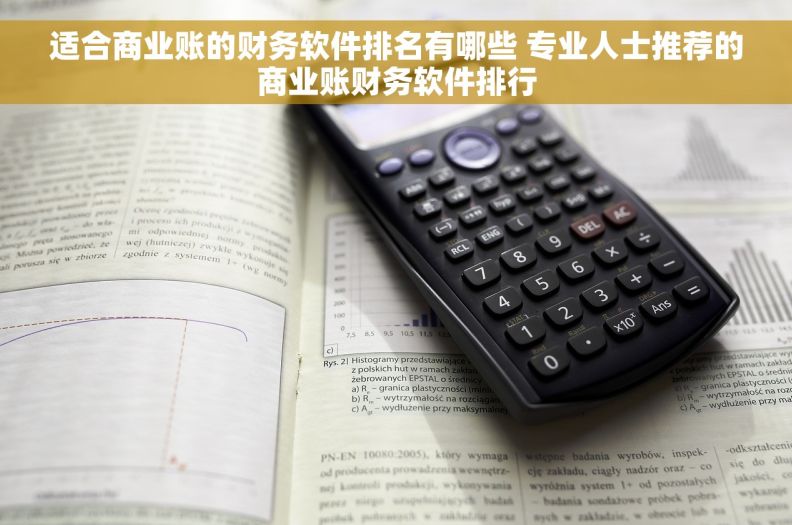 适合商业账的财务软件排名有哪些 专业人士推荐的商业账财务软件排行