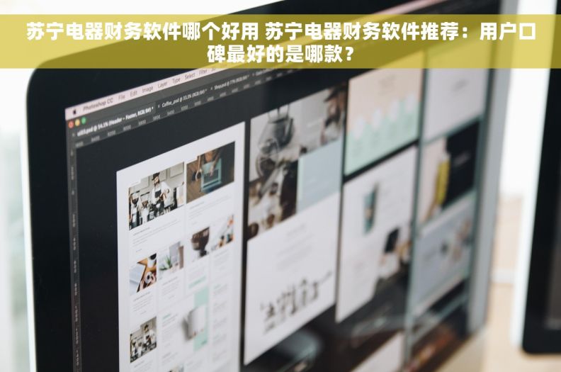 苏宁电器财务软件哪个好用 苏宁电器财务软件推荐：用户口碑最好的是哪款？