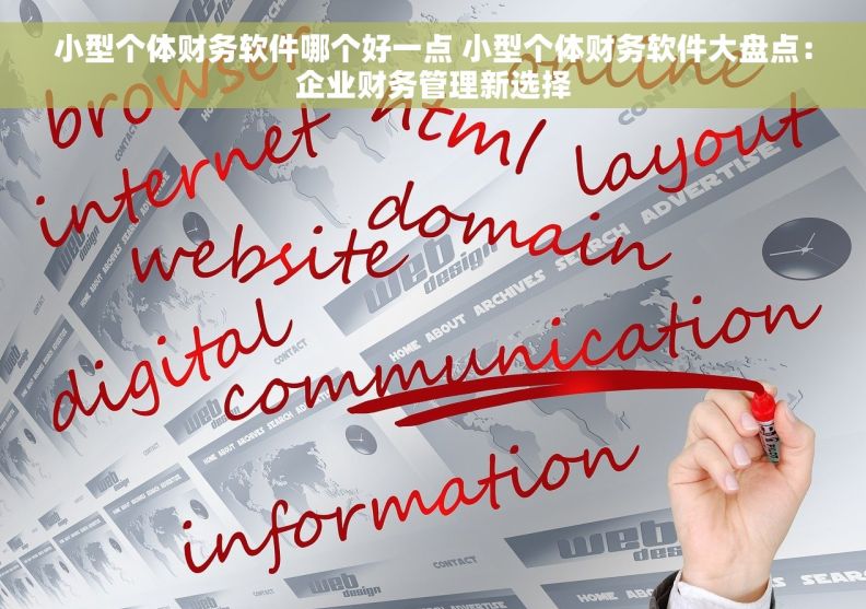 小型个体财务软件哪个好一点 小型个体财务软件大盘点：企业财务管理新选择